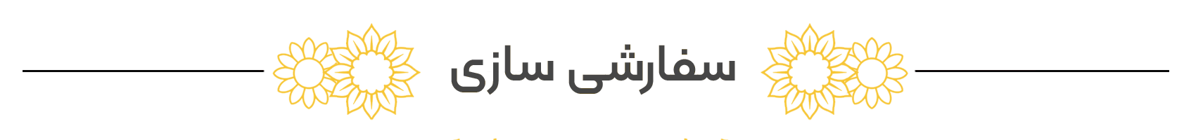 کادر سفارشی 3